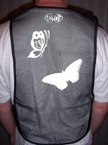 rbutterfly back